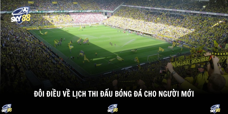 Lịch Thi Đấu Bóng Đá 1 Đôi điều về lịch thi đấu bóng đá cho người mới